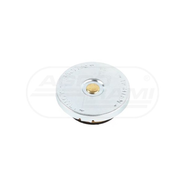 Korek chłodnicy 24/151-4