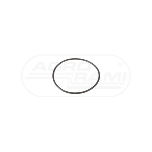 O-ring