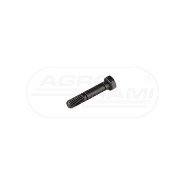 Śruba zrywalna M12X65