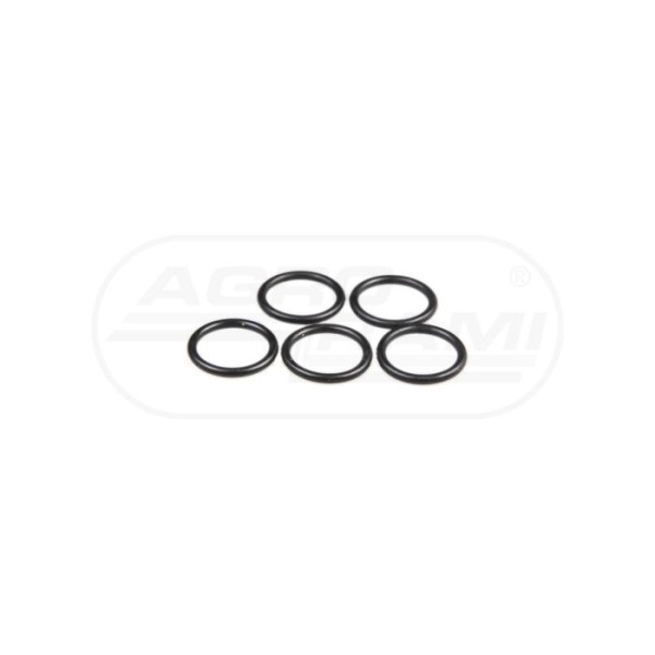 O-ring