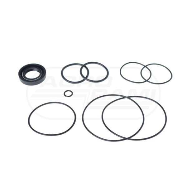 Kpl.uszczelek pompy hydraulicznej