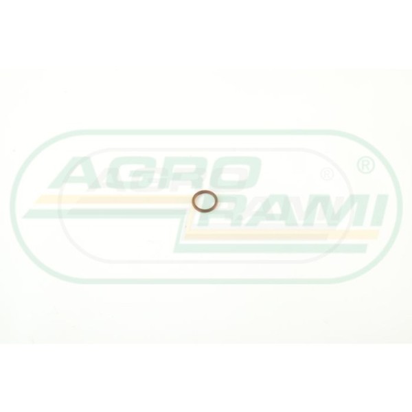 O-ring CNH