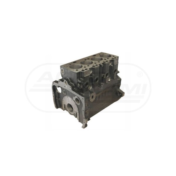 Blok silnika 306001-19 A4.248 fi-101.05 mm