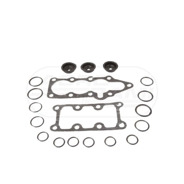 Kpl.uszczelek rozdzielacza