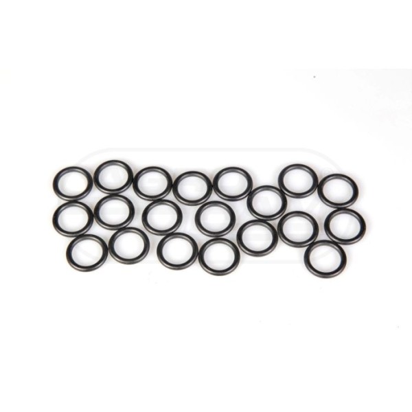 O-ring CNH