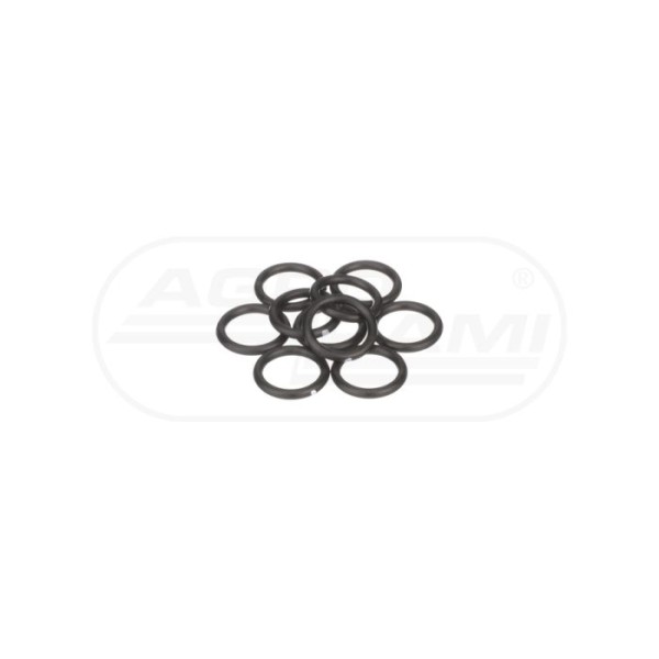 O-ring CNH