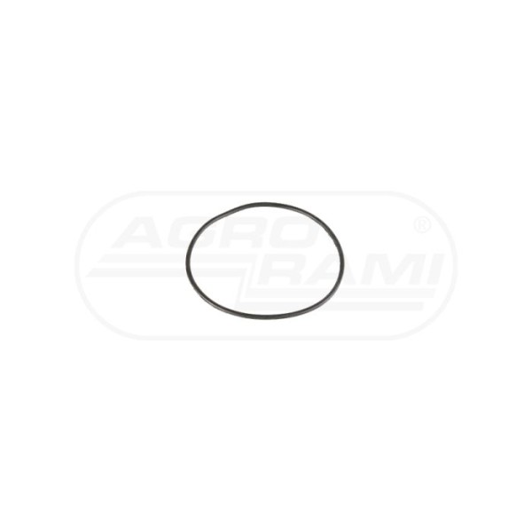 Uszczelka termostatu