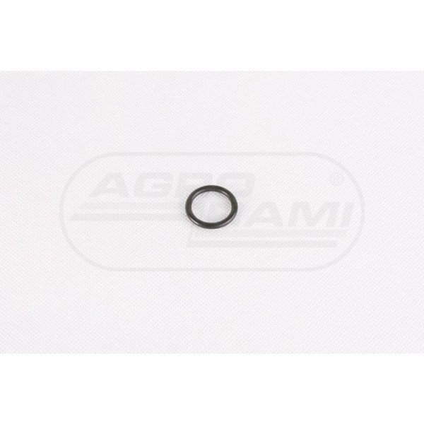 O-ring CNH