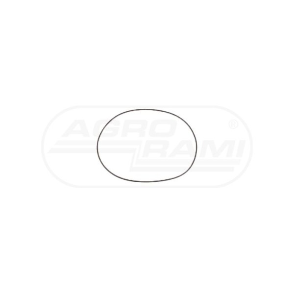 O-ring