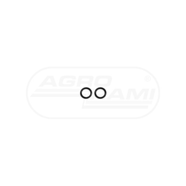 O-ring CNH