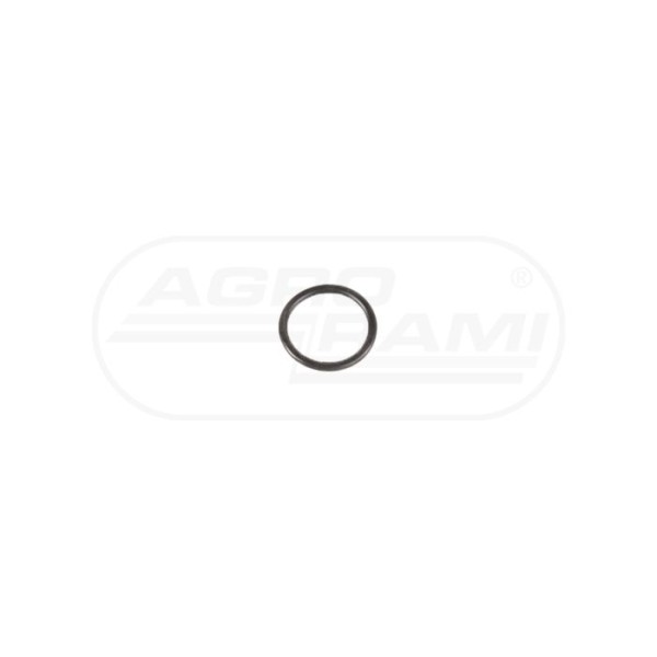 O-ring