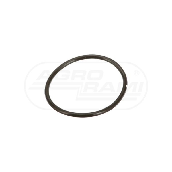 O-ring CNH