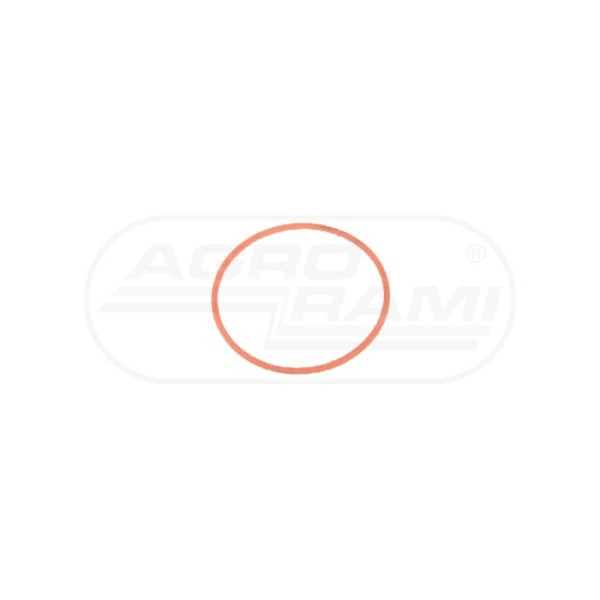 O-ring CNH 