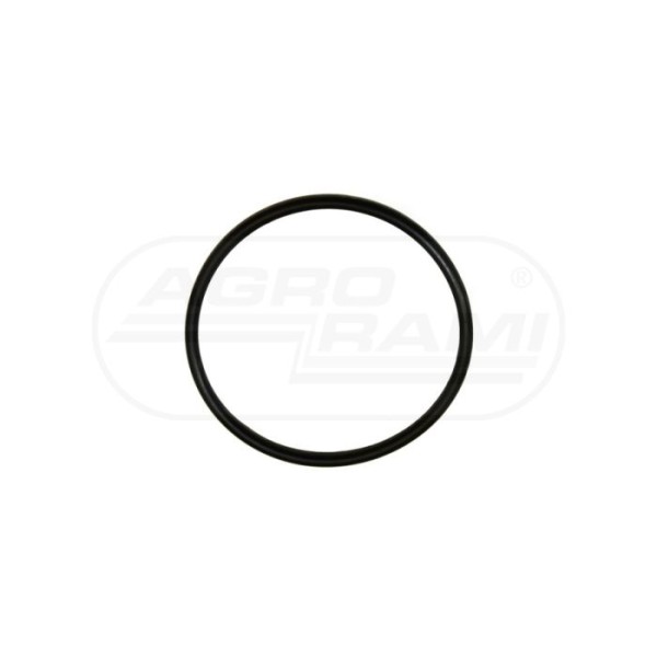 O-ring