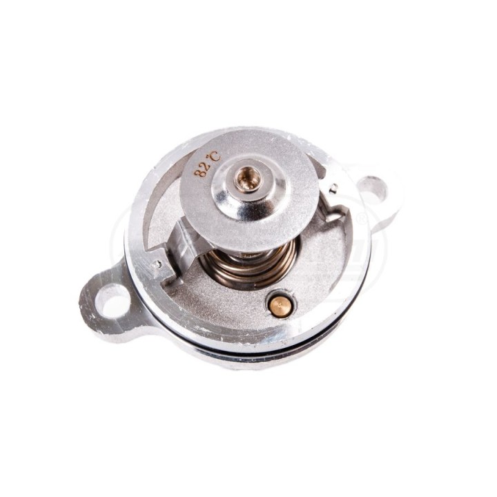 Termostat z obudową 4133L507, 149606, 2485C041, 2485C041P KMG