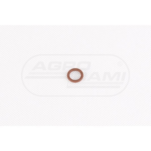 O-ring CNH