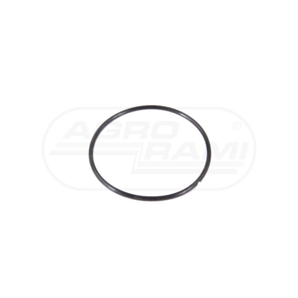 O-ring