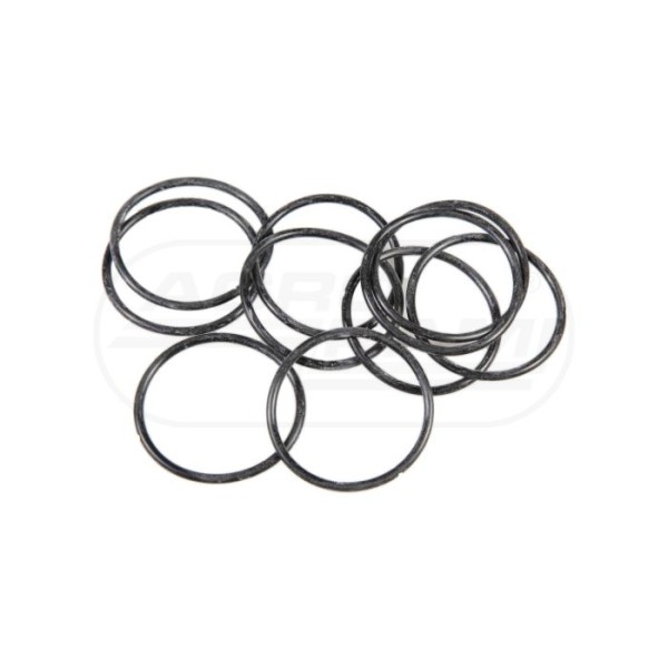 O-ring CNH