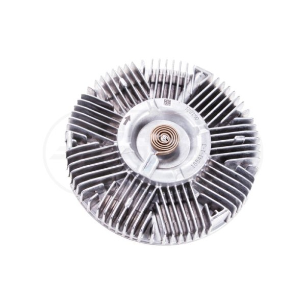 Visco 226145-22 18841-1  BORGWERNER