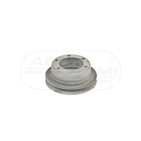 Koło pasowe pompy wody niskie Bizon 14004111