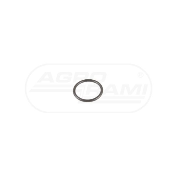 O-ring CNH
