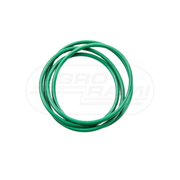 Oring B70224