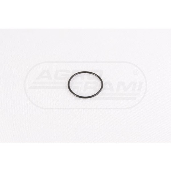 O-ring pompy wodnej