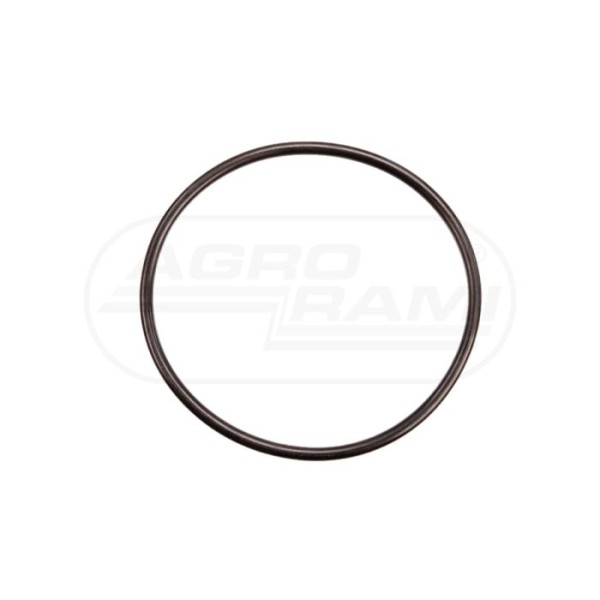 Pierścień oring 306420-1