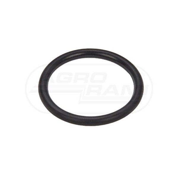O-ring