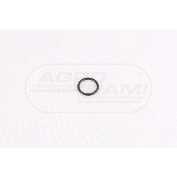 O-ring CNH