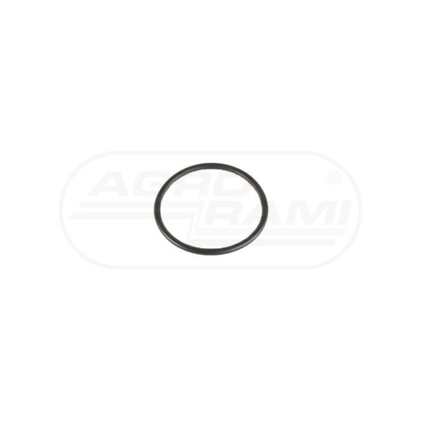 O-ring