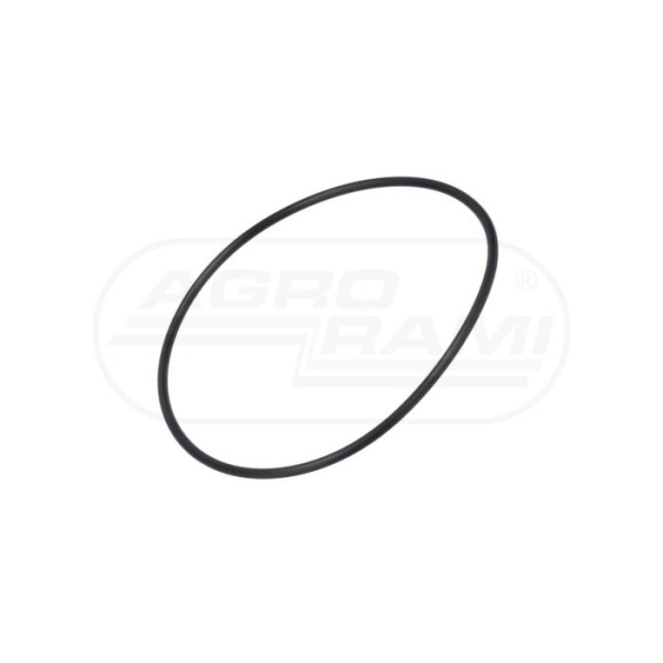O-ring