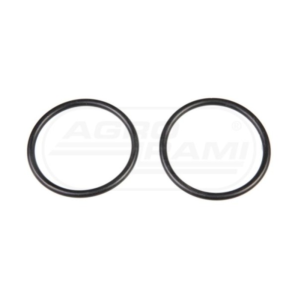 O-ring