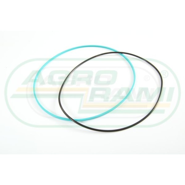 O-ring CNH