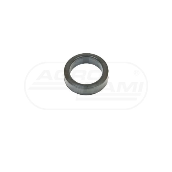 Pierścień pompy wody 19027011