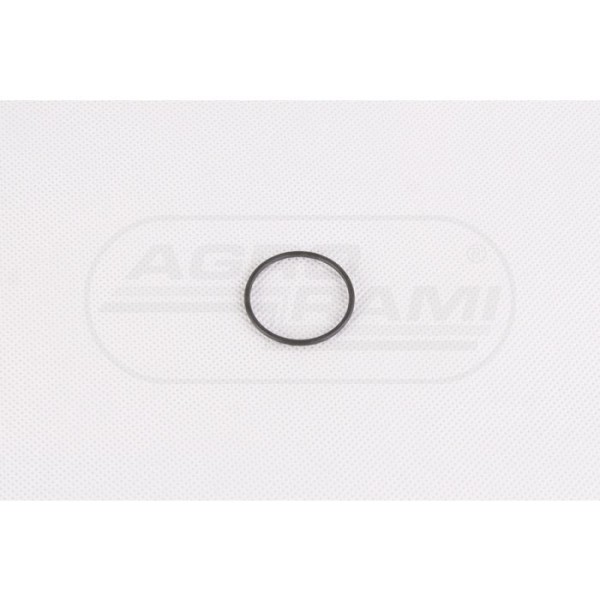 O-ring