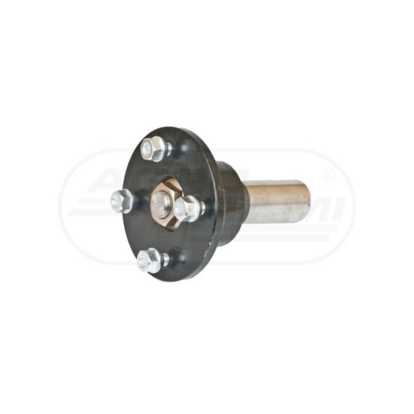 Piasta kpl.z czopem 4x100