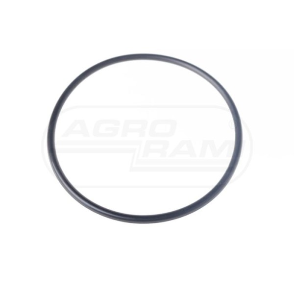 Pierścień Oring 100,5x4,5