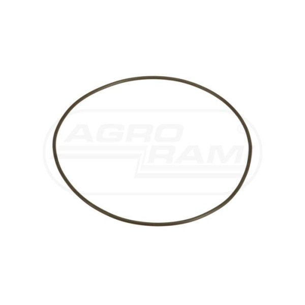 O-ring