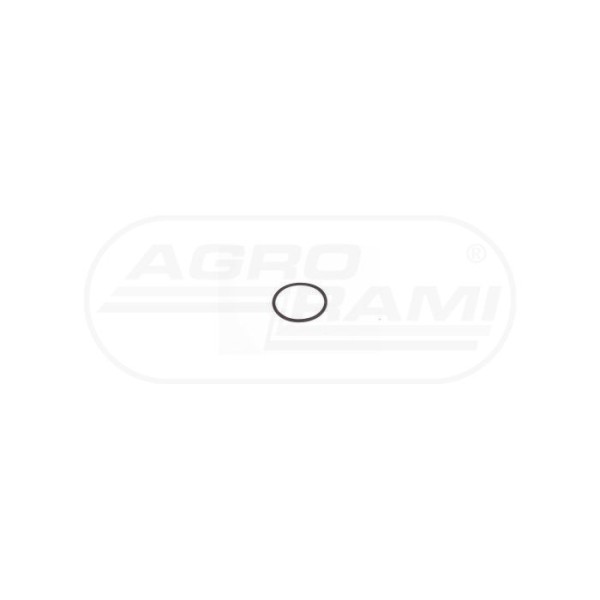 O-ring
