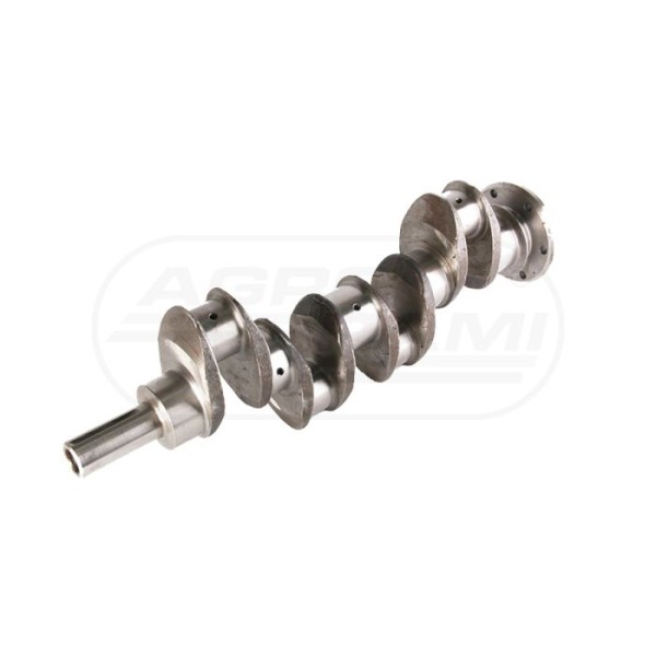 Wał korbowy kpl. 301-2 ROPE  4.203 s.typ Genmot