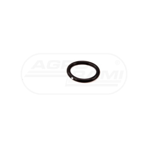 O-ring CNH