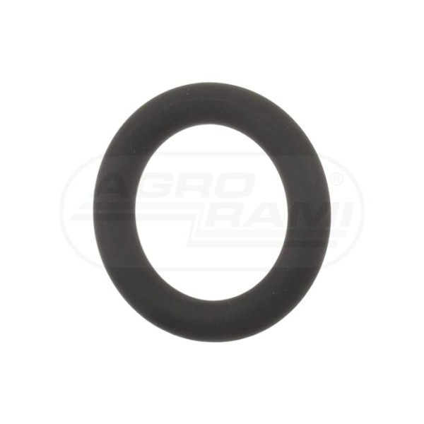 O-ring