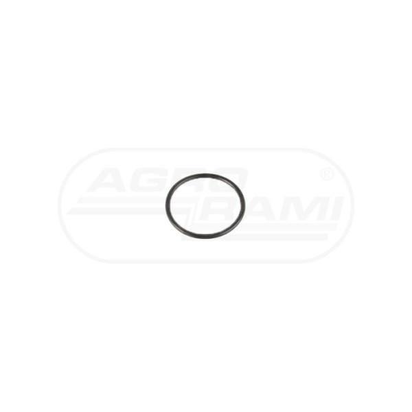 O-ring CNH