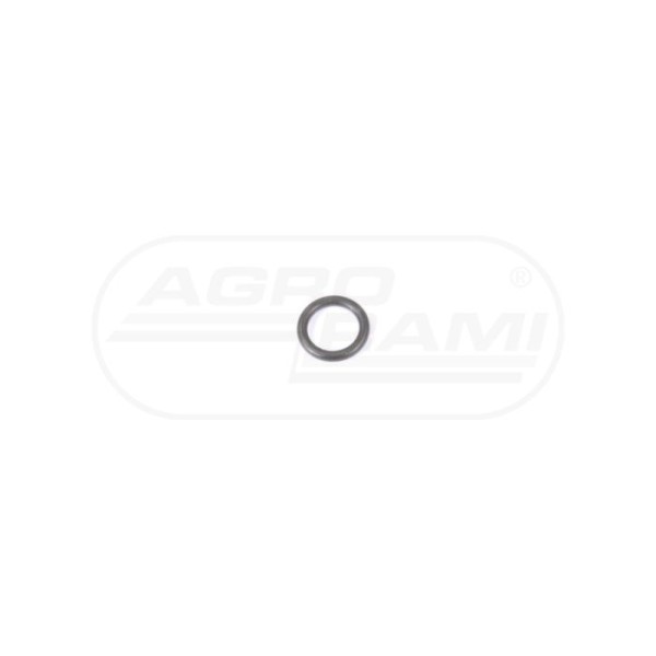 O-ring CNH