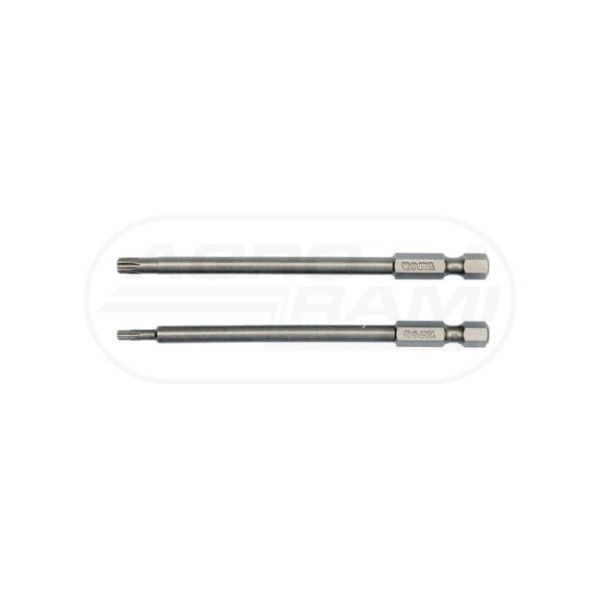 Bity długie TORX SECUR T10X100, T25X100