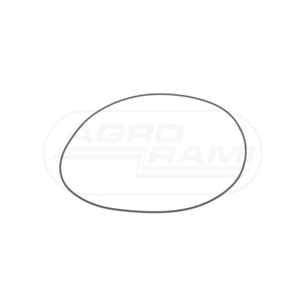 O-ring