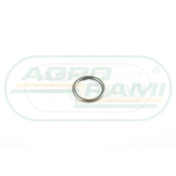 O-ring