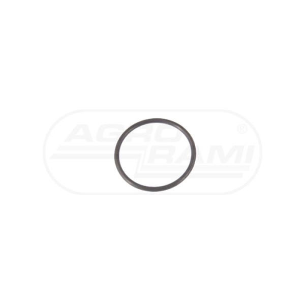 O-ring