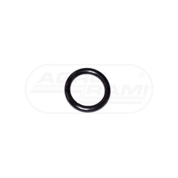 O-ring CNH